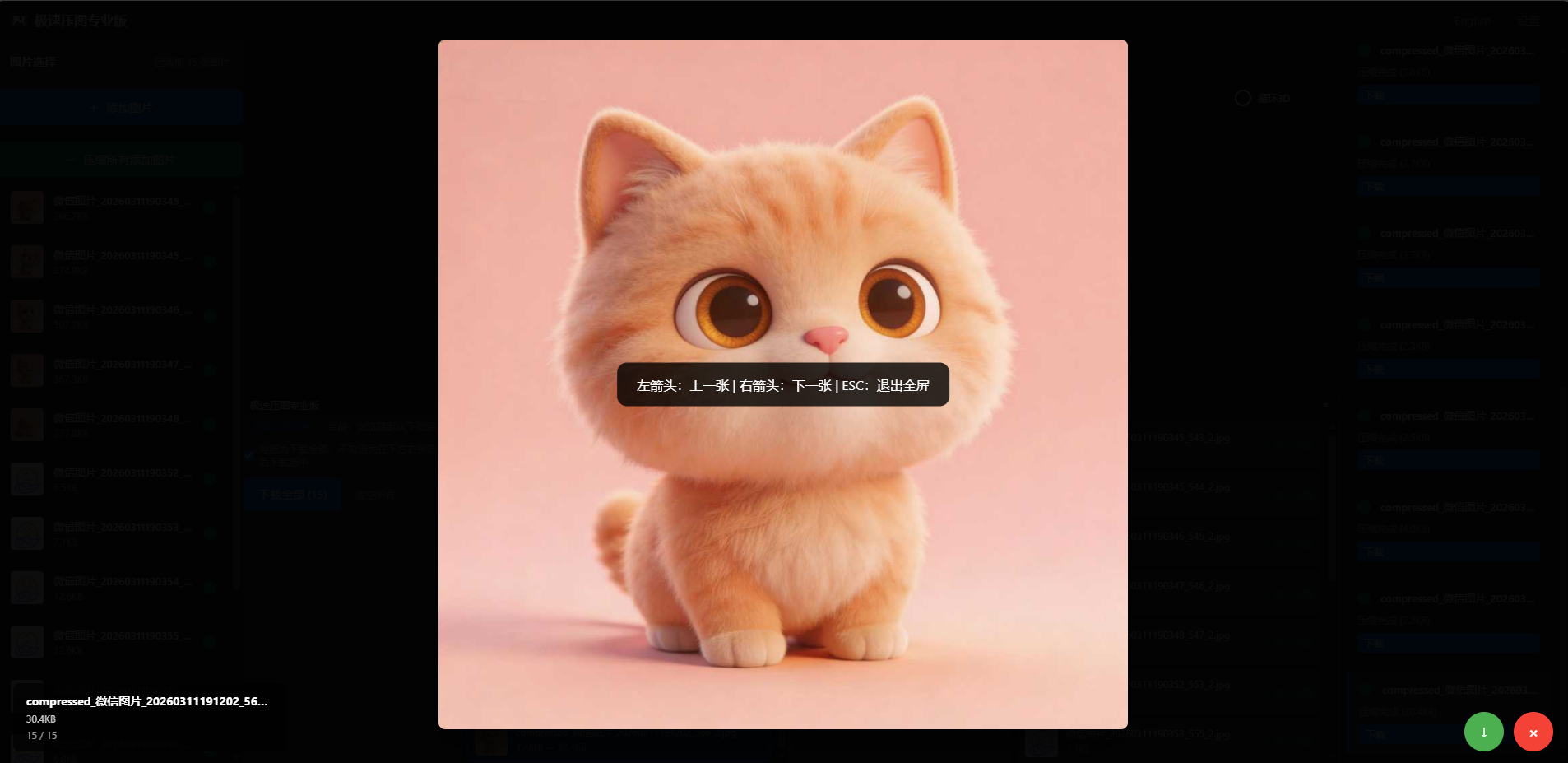 极速压图专业版预览界面